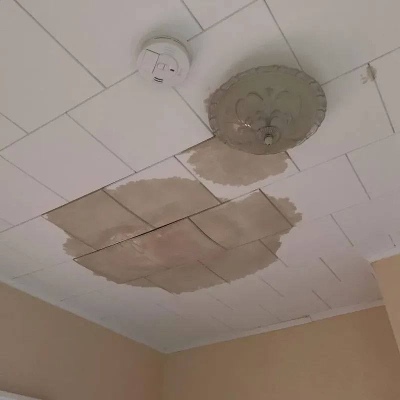 Ceiling Water Damage Repair in Gulf Breeze, FL
